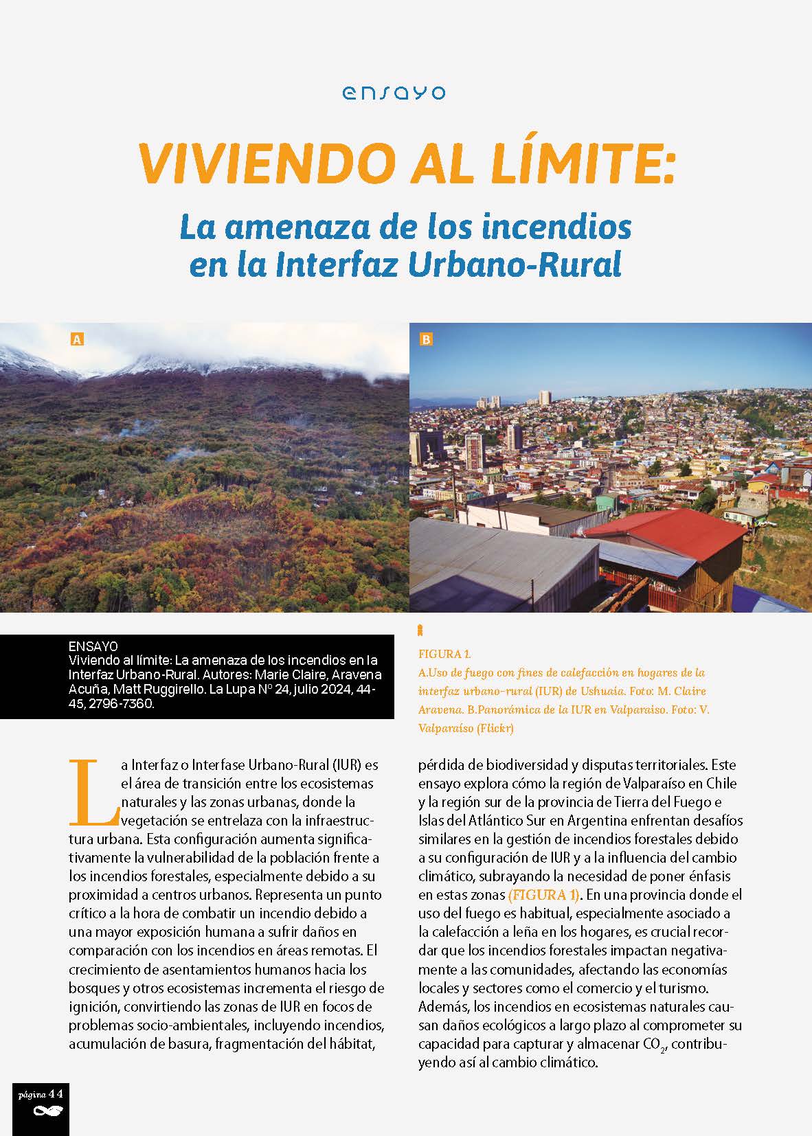 Aravena Acuña