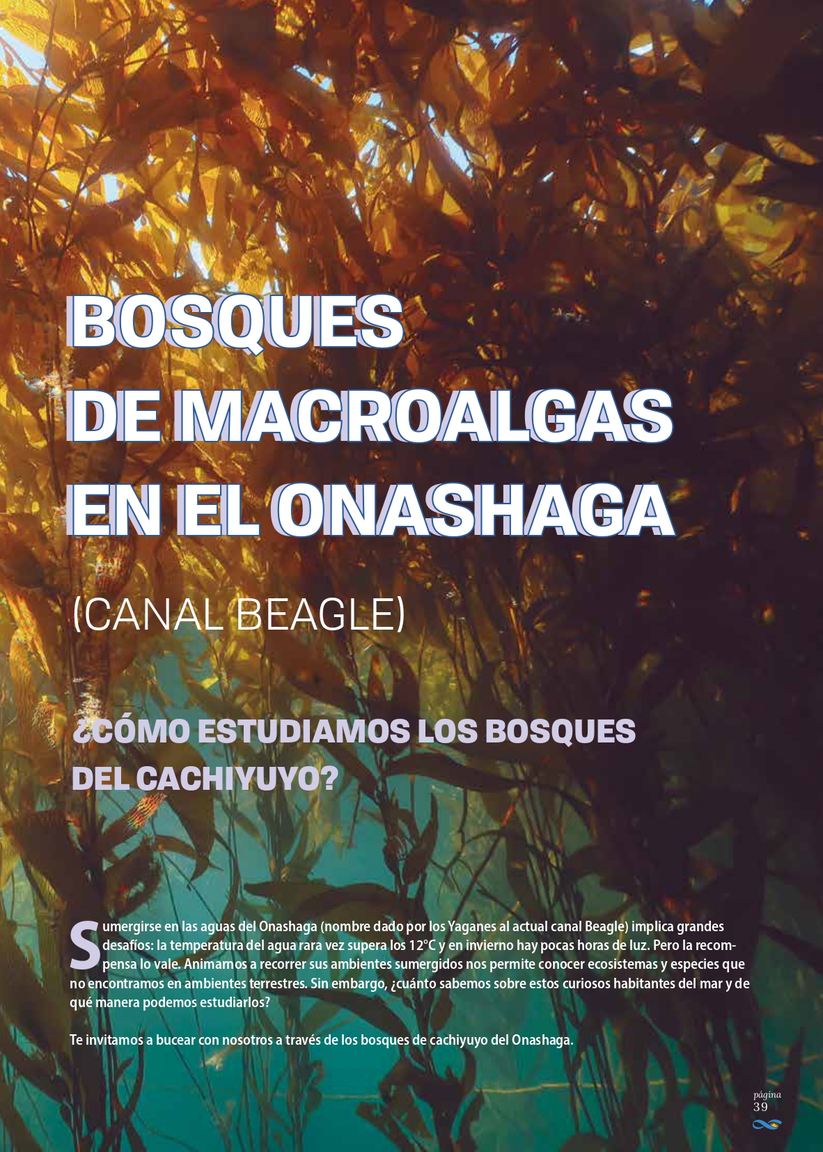 Bagur
