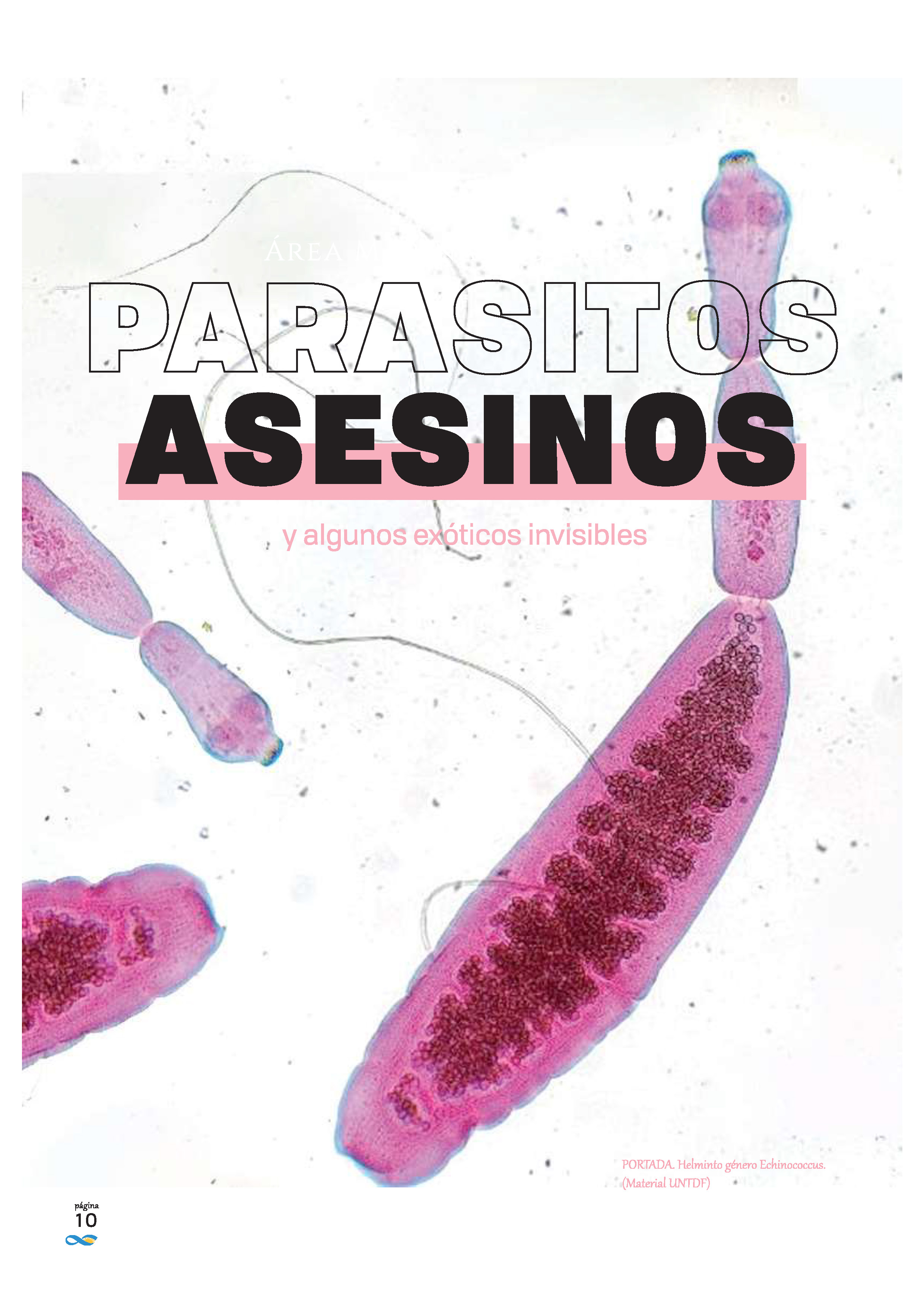PORTADA. Helminto género Echinococcus. (Material UNTDF)