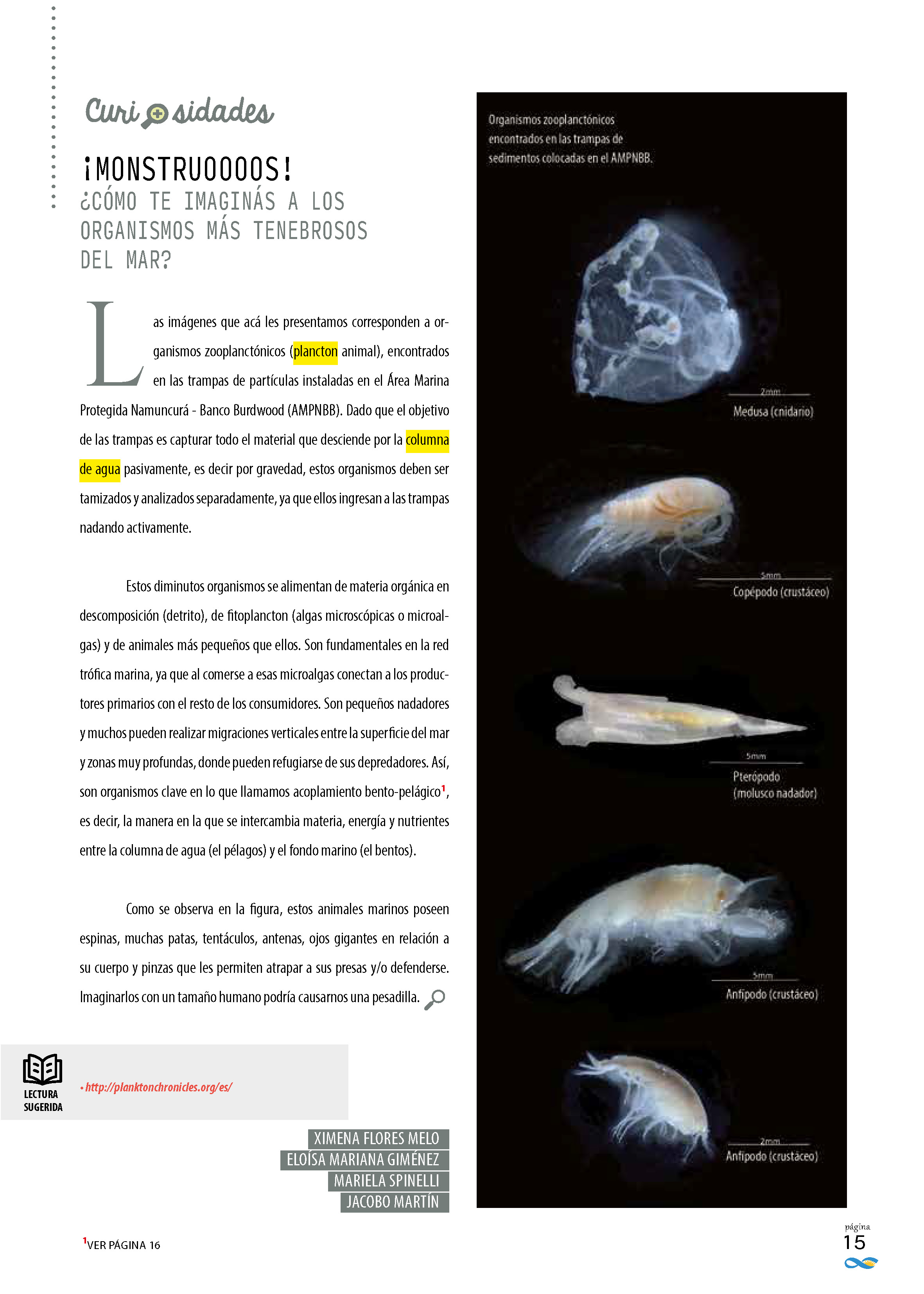 Organismos zooplanctónicos encontrados en las trampas de sedimentos colocada en el AMPNBB.