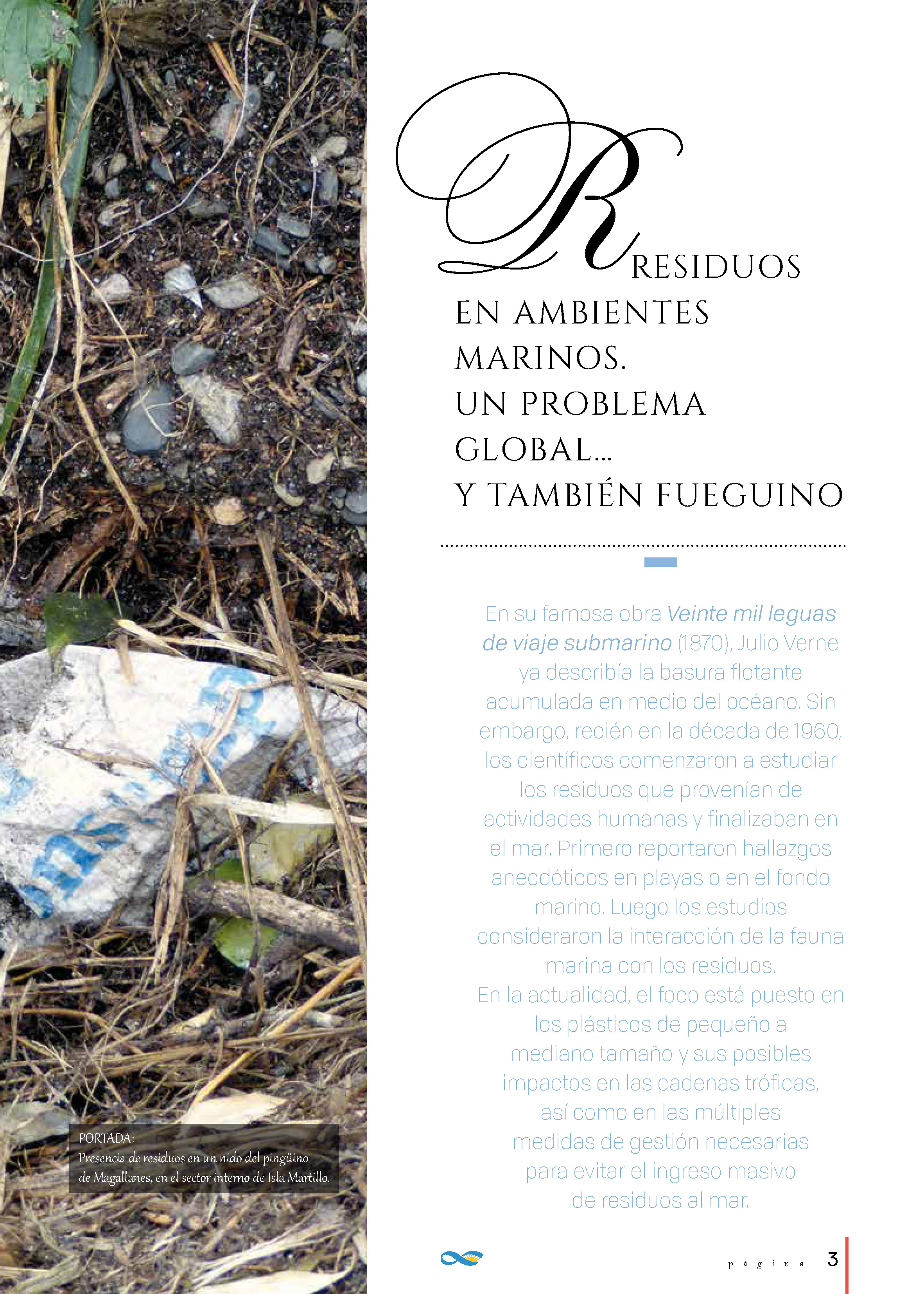 Portada: Presencia de residuos en un nido del pingüino de Magallanes, en el sector interno de Isla Martillo.