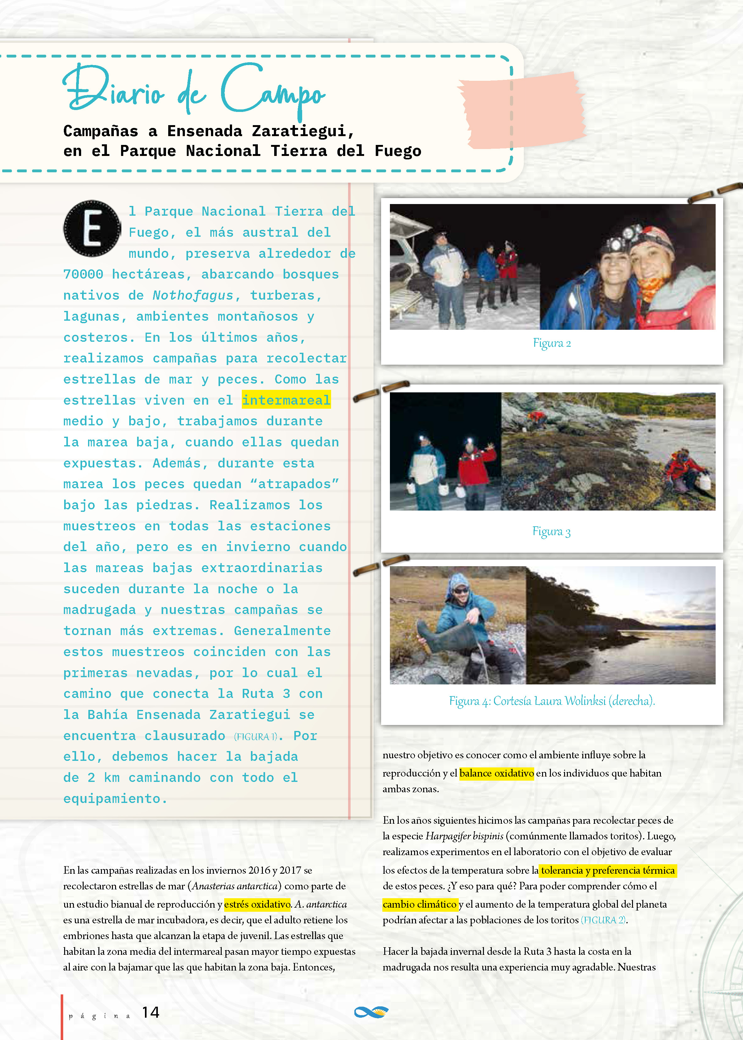 Diario de Campo