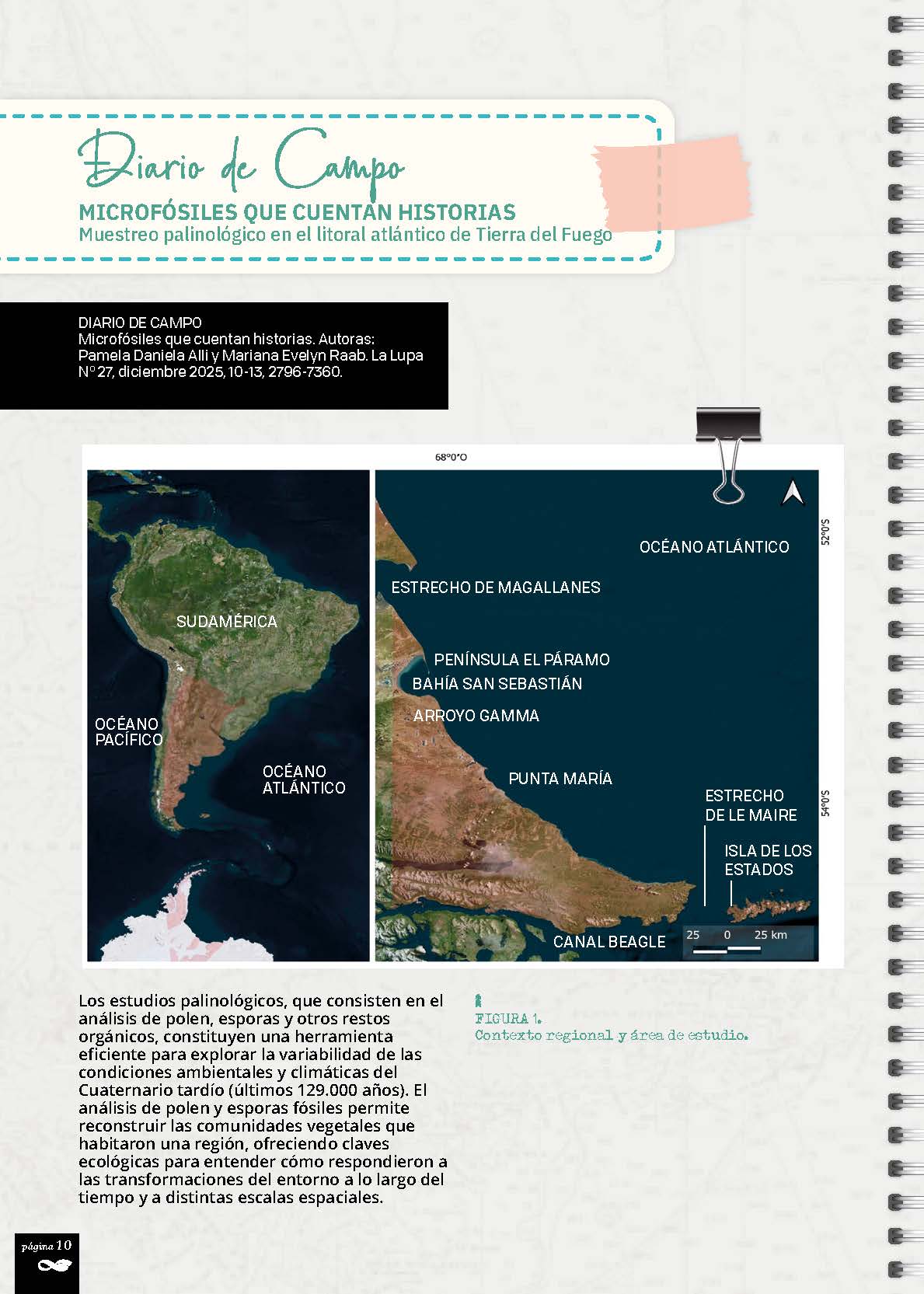 Estudios palinológicos en el norte de TDF