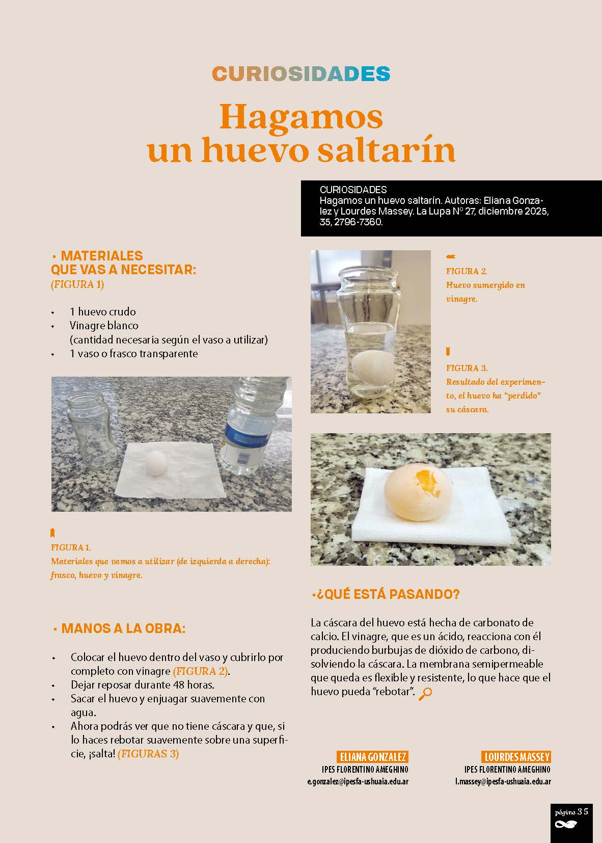 Huevo saltarín