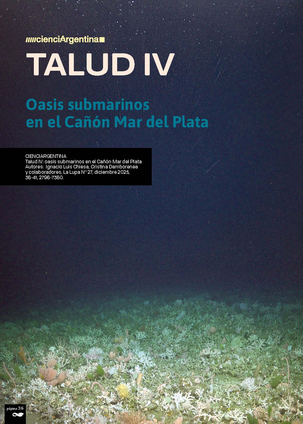 Arrecife de Bathelia candida en el Cañón Submarino Mar del Plata. Foto: ROV SuBastian, Schmidt Ocean Institute.