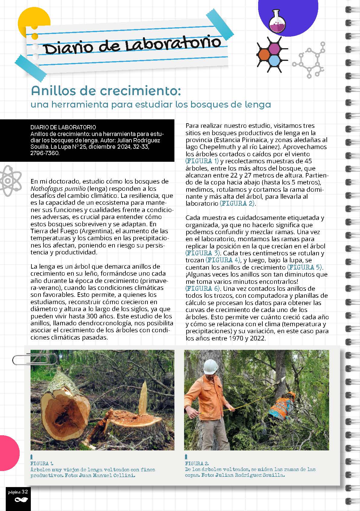 Souilla