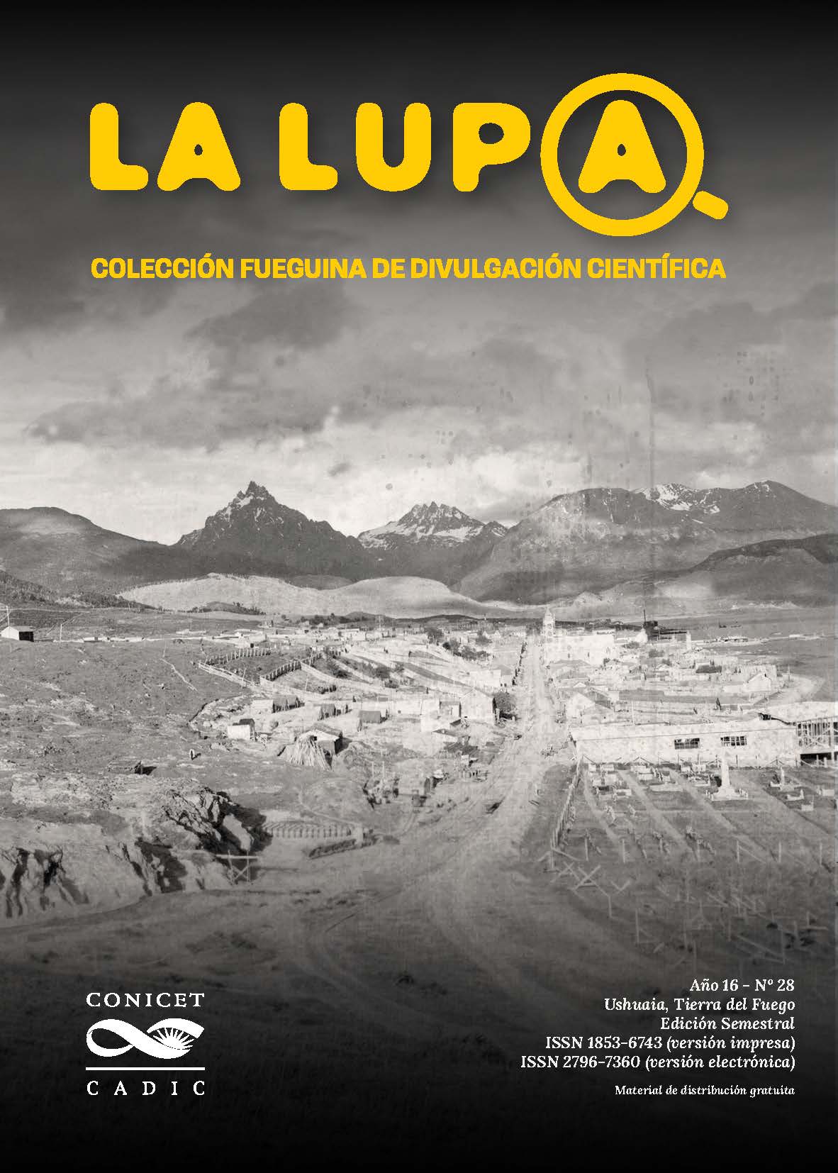 					Ver Núm. 28 (2026)
				